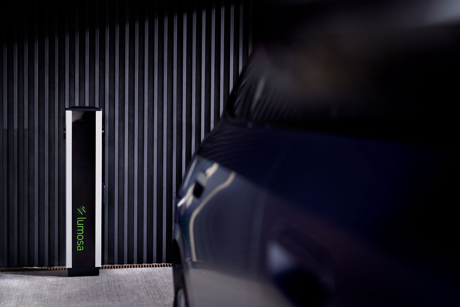 Subsidies voor elektrische auto’s en laadpalen